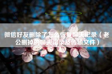 微信好友删除了怎么恢复聊天记录(老公删掉的聊天记录及传输文件) 微信好友删除了怎么恢复聊天记录(老公删掉的聊天记录及传输文件)