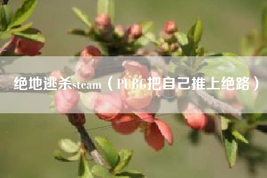 绝地逃杀steam（PUBG把自己推上绝路）