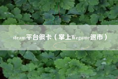 steam平台很卡（掌上Wegame退市）