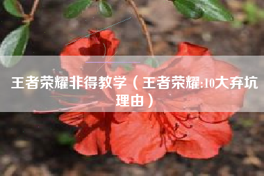 王者荣耀非得教学（王者荣耀:10大弃坑理由）