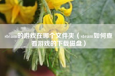 steam的游戏在哪个文件夹（steam如何查看游戏的下载磁盘）