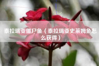 泰拉瑞亚僵尸鱼（泰拉瑞亚史莱姆鱼怎么获得）