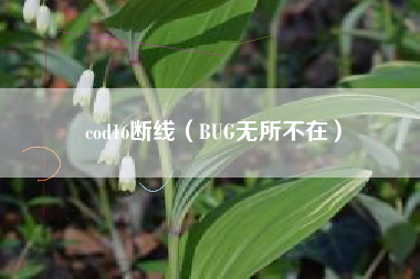 cod16断线（BUG无所不在）