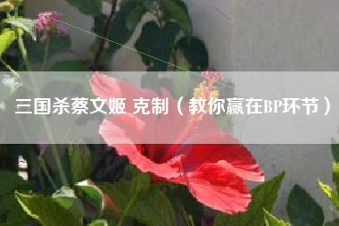 三国杀蔡文姬 克制（教你赢在BP环节）