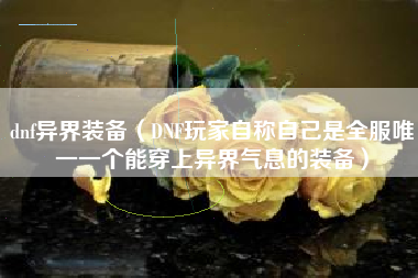 dnf异界装备（DNF玩家自称自己是全服唯一一个能穿上异界气息的装备）