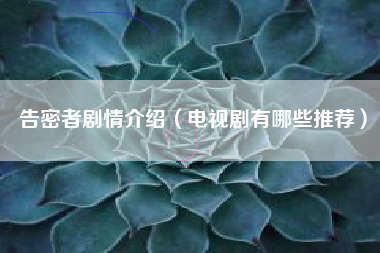 告密者剧情介绍（电视剧有哪些推荐）