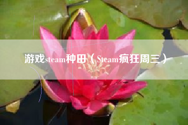 游戏steam种田（Steam疯狂周三）