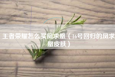 王者荣耀怎么买凤求凰（16号回归的凤求凰皮肤）