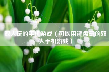 双人玩的手机游戏（可以用键盘玩的双人手机游戏）