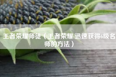 王者荣耀师徒（王者荣耀:迅速获得6级名师的方法）