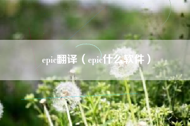 epic翻译（epic什么软件）