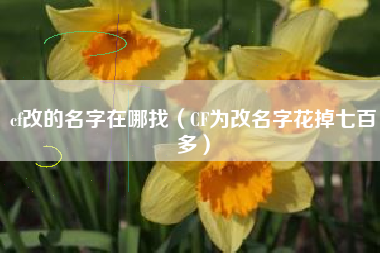 cf改的名字在哪找（CF为改名字花掉七百多）