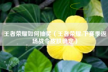 王者荣耀如何抽奖（王者荣耀:下赛季返场战令皮肤确定）