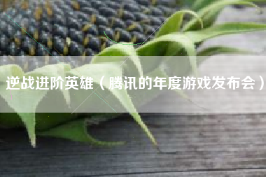 逆战进阶英雄（腾讯的年度游戏发布会）