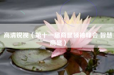 高清锐视（第十一届商显领袖峰会 智慧商显）