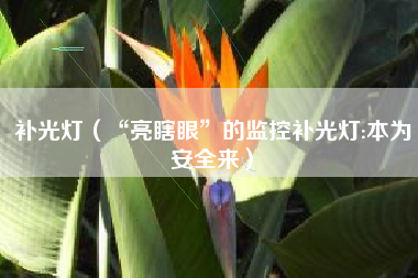 补光灯（“亮瞎眼”的监控补光灯:本为安全来）