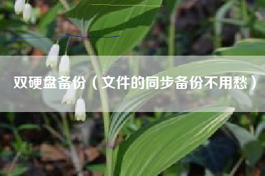 双硬盘备份（文件的同步备份不用愁）