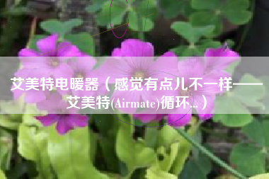 艾美特电暖器（感觉有点儿不一样——艾美特(Airmate)循环...）