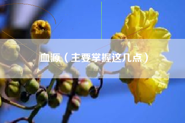 血源（主要掌握这几点）