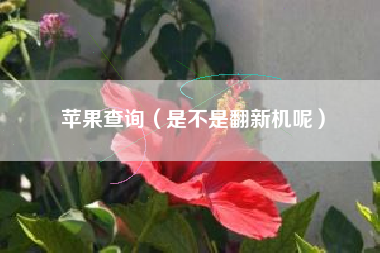 苹果查询（是不是翻新机呢）