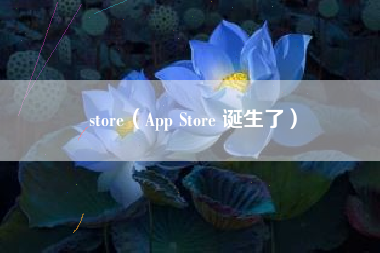 store（App Store 诞生了）