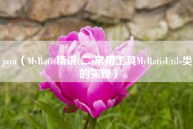 java（MyBatis精讲(二)常用工具MyBatisUtils类的实现）