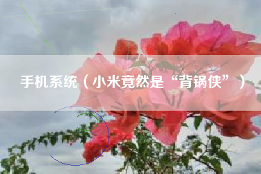 手机系统（小米竟然是“背锅侠”）