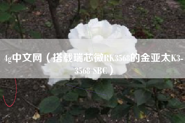 4g中文网（搭载瑞芯微RK3568的金亚太K3-3568 SBC）