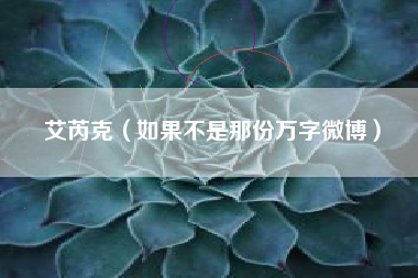 艾芮克（如果不是那份万字微博）