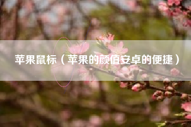 苹果鼠标（苹果的颜值安卓的便捷）