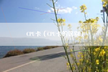 CPU卡（CPU卡的区别）