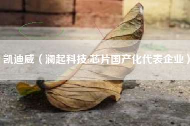 凯迪威（澜起科技:芯片国产化代表企业）