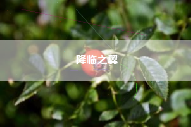 降临之翼