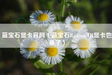 蓝宝石显卡官网（蓝宝石Radeon VII显卡也来了）