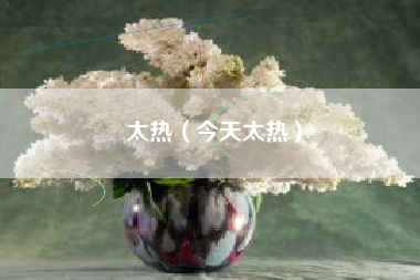 太热（今天太热）