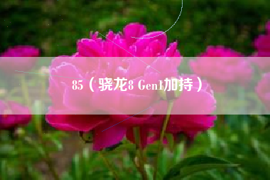 85（骁龙8 Gen1加持）