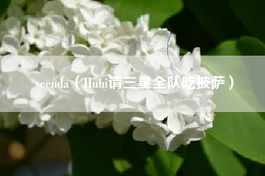 seenda（Huhi请三星全队吃披萨）