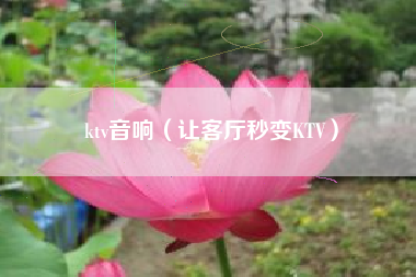 ktv音响（让客厅秒变KTV）