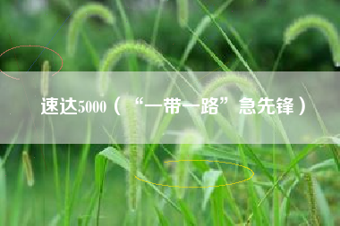 速达5000（“一带一路”急先锋）