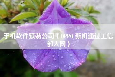 手机软件预装公司（OPPO 新机通过工信部入网）