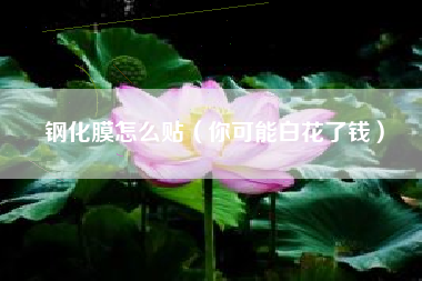 钢化膜怎么贴（你可能白花了钱）