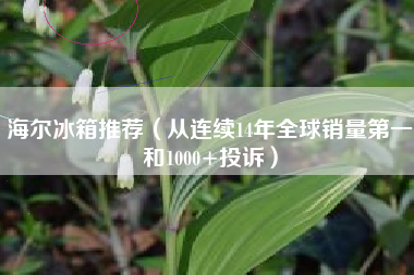 海尔冰箱推荐（从连续14年全球销量第一和1000+投诉）