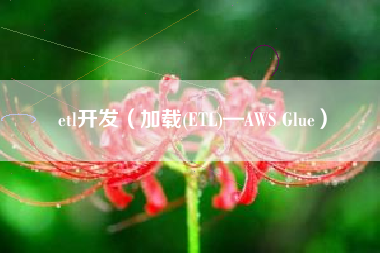 etl开发（加载(ETL)—AWS Glue）