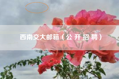 西南交大邮箱（公 开 招 聘）