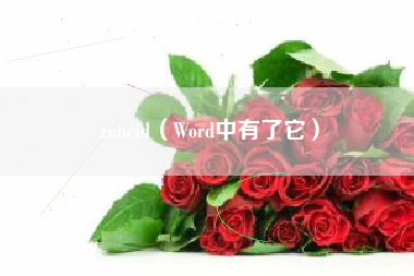 zoneid（Word中有了它）