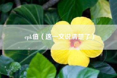 cpk值（这一文说清楚了）