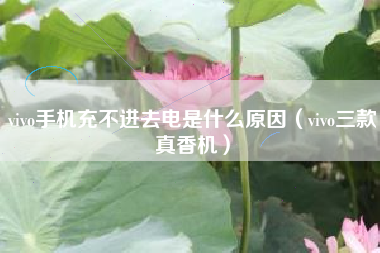 vivo手机充不进去电是什么原因（vivo三款真香机）