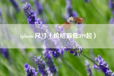 iphone尺寸（价格最低399起）