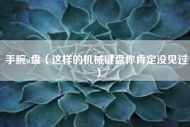 手腕u盘（这样的机械键盘你肯定没见过）