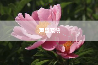 声望系统